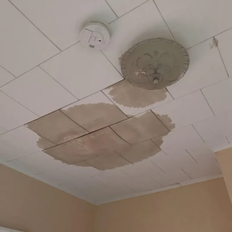 Ceiling Water Damage Repair in Franklinville, NC
