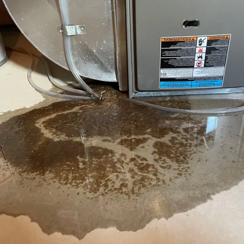 Pipe Burst and Leak Restoration in Franklinville, NC