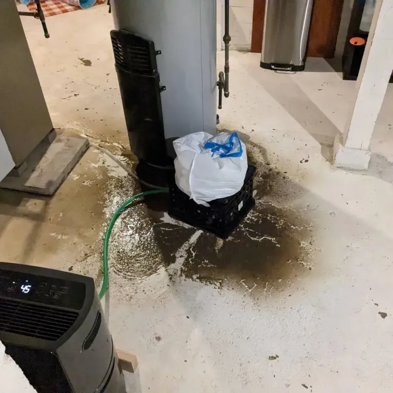 Sewage Backup Cleanup Service in Franklinville, NC